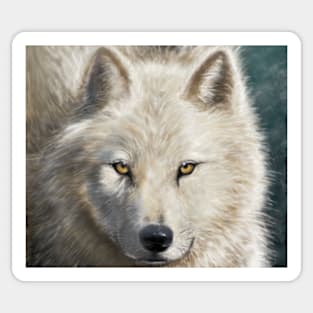 Arctic Wolf or Gray Wolf Sticker